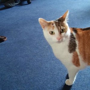 Bin ich nicht schön.