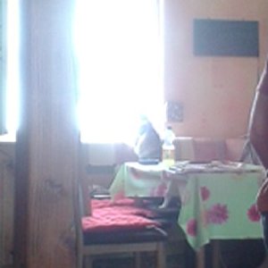 Mal schauen was es da drausen schönes gibt