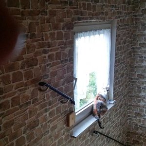 Von dem Fenster kann man schön die Kinder beobachten.