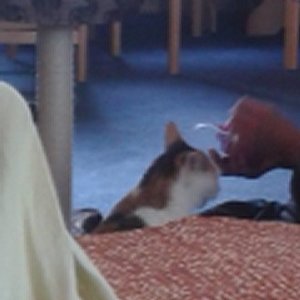 Jetzt aber ein Leckerlie. Her damit.