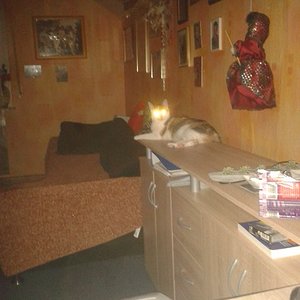 Siehst  Du meine Feurigen Augen