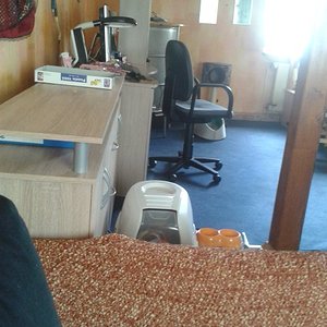 Oh das ist ja meine Toilette