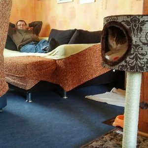 Mein Kratzbaum mit Höhle.