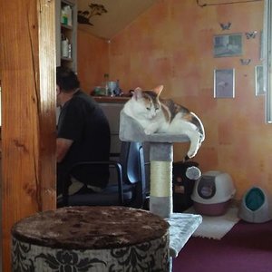 Schauen was Frauschenmacht gell