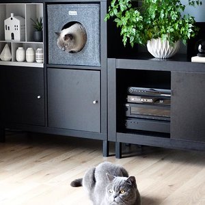 Auf Instagramm zu finden! Coole Katzenhöhle als ergänzung zum IKEA Regal