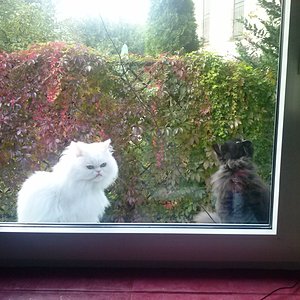 Komm raus,kannste reingucken