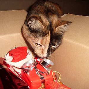 k Weihnachtswichteln 017