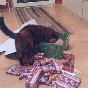 IMG 20171226 170654 BURST001 COVER