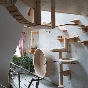 Das Laufrad in der Mitte vom Bild ist die neueste Anschaffung und diesmal kein Eigenbau. Es wurde aber nur im Rohbau erworben und dann meinem System von der Art her angepasst.