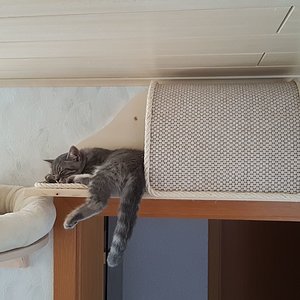 Der kleine Tunnel ist heiß begehrt!