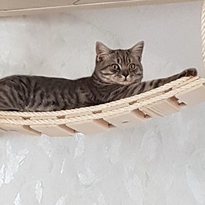 Die Brücke ist auch ein guter Schlafplatz.