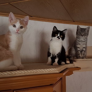 Nach einer Woche nachdem sie bei uns eingezogen sind.