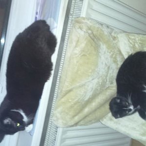 DSC 0002   Kopieren (2)