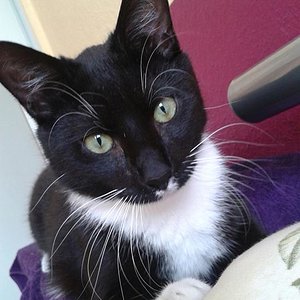 919989 371892362930694 416579390 o