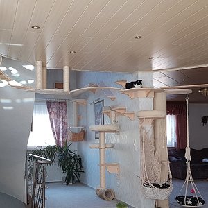 Übersicht - Eigentlich ist fast alles Marke Eigenbau. Es sind natürlich ein paar Teile von einem Wandkratzbaum, Liegemulden und verschiedene Katzsäulen mit verwendet worden. Allerdings sind die meistens noch irgendwie angepasst oder etwas verändert worden, damit sie sich in mein Eigenbausystem einfügen.

Das Eigenbausystem besteht entweder nur aus 8-10 mm Sperrholz, welches teilweise mit einfachen Kieferholzregalen oder Kieferholzwinkeln vom Baumarkt kombiniert wurde. Die Laufflächen und die Tunnel wurden dann mit einem kratzfesten Teppich belegt, welcher gegen ausfransen mit Sisalstrick an den Schnittkanten verklebt wurde. Als Kleber wurde Holzkaltleim verwendet, da er nach dem austrocknen farblos aushärtet und somit nicht mehr zusehen ist.