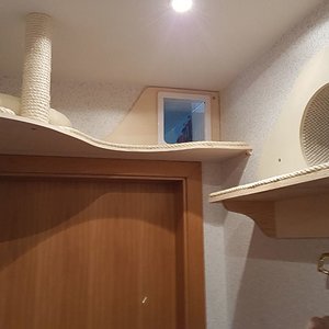 Der kleine Flur mit einem sehr ruhigen Schlafplatz. Dieser wird gern genommen, wenn es durch Besuch im Haus zu laut wird.

Die Katzenklappe führt in ein weiteres Zimmer, welches mal ein Kinderzimmer war und jetzt eher als Abstellkammer bezeichnet werden kann. Darin befinden sich auch zwei Katzenklos. Obwohl wir die mindestens 2 mal täglich sauber machen, riecht es immer ein bisschen, vor allem, wenn die Rasselbande Einer nach dem Anderen die Klo´s benutzt hat. Da ist es gut, wenn man in dem Raum ständig das Fenster angekippt lassen kann (Heizung ist in dem Raum ausgestellt), die Katzenklappe Zugluft unterbindet und somit auch die Geruchsverteilung blockt.