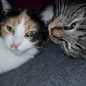 Geschwister sind unzertrennlich