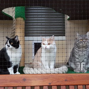 Auch im kalten Januar gibt es draußen was zu sehen!