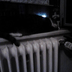 Tigger auf die Fensterbank