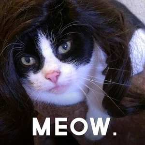 28796084 1619913414768492 587060726878935171 n