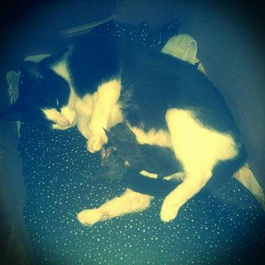 15589936 140750606413370 4676713513706129245 n (1)