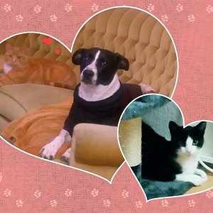 15492495 137854046703026 8768406597372765728 n