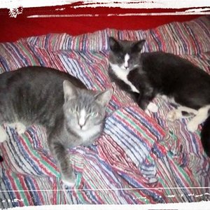 25442795 308057126349383 7050538917682506764 n