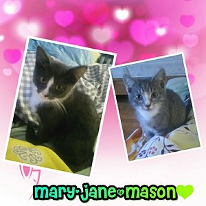 17361824 195991290889301 5375744442902210182 n