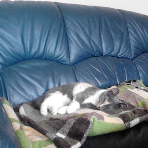 Wichtel Kleine Lilly