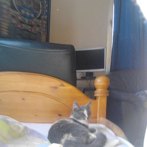 Kleine Lilly auf den Bett