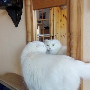 Spieglein Spieglein an der Wand...