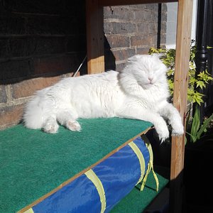 Sonne, gib mir Sonne