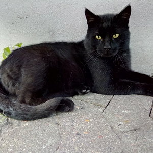 IMAG1557

Streuner Fluse