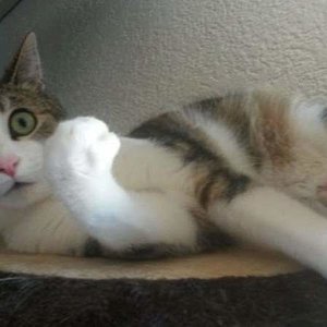 FB IMG 1510914648171