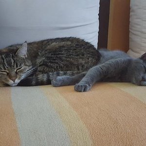 erstes kuscheln Elly und Bella