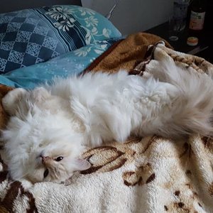 Janosch er hüpft immer wie ein Hase deshalb nenne ich ihn gerne Hasi =)