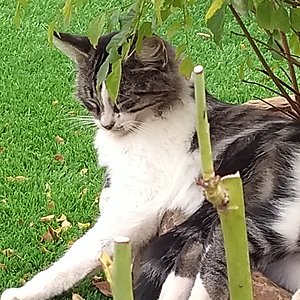 Motzi am vorletzten Tag