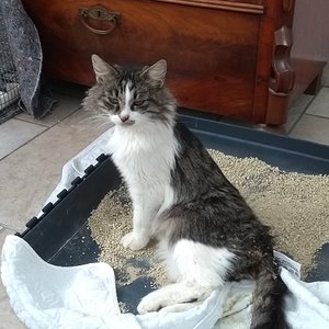 IMG 20181031 101853126