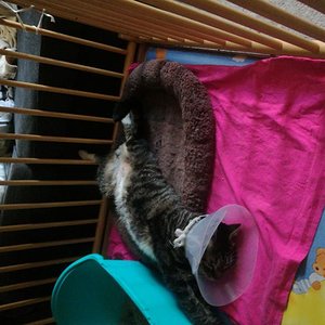 IMG 20180921 183737 BURST009