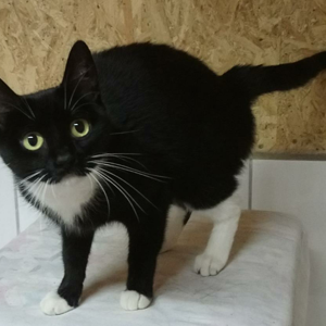 Das Bild stammt noch aus der Tierpension.