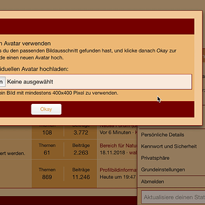 Wie wähle ich einen Avatar