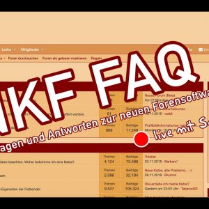 NKF - Fragen und Antworten