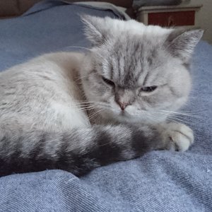 Mascha, den ersten Tag bei uns