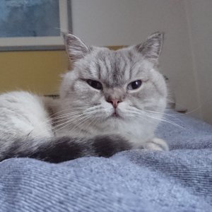 Die kleine Russin Mascha