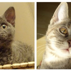 Meine beiden Mädels