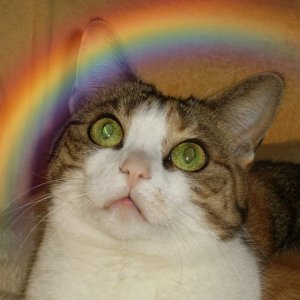 Mucki ist ein Sternchen