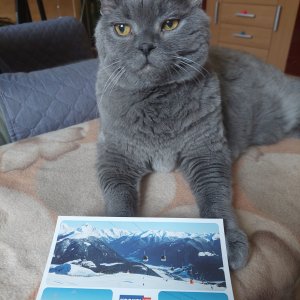 Porthos März 2023.jpg