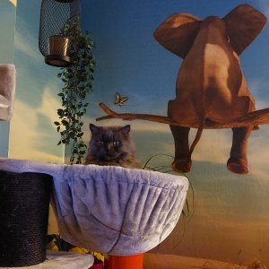 Diego März 2023.jpg