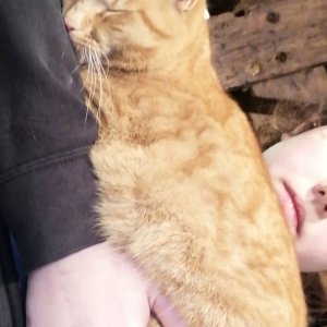 Schlafmütze Ohneschwanz