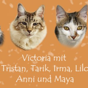 Signatur Katzenforum_.jpg